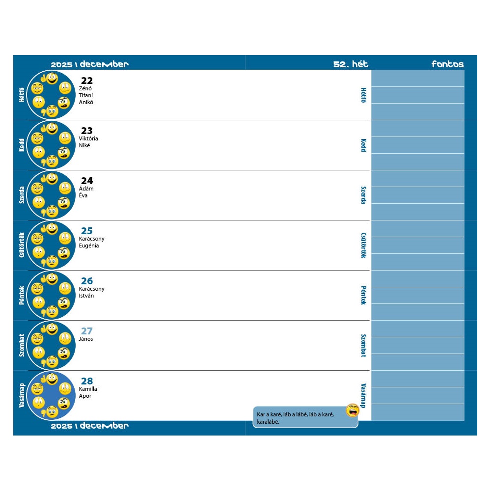 Diák zsebkönyv 125mmx205mm, fehér lapokkal 2025/2026 cyberpunk Realsystem - Image 2