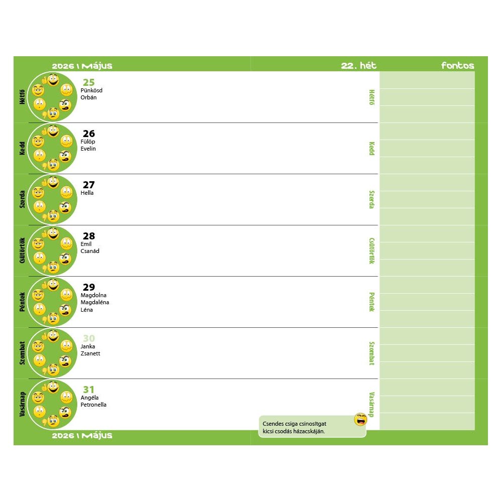 Diák zsebkönyv 125mmx205mm, fehér lapokkal 2025/2026 graffiti Realsystem - Image 3