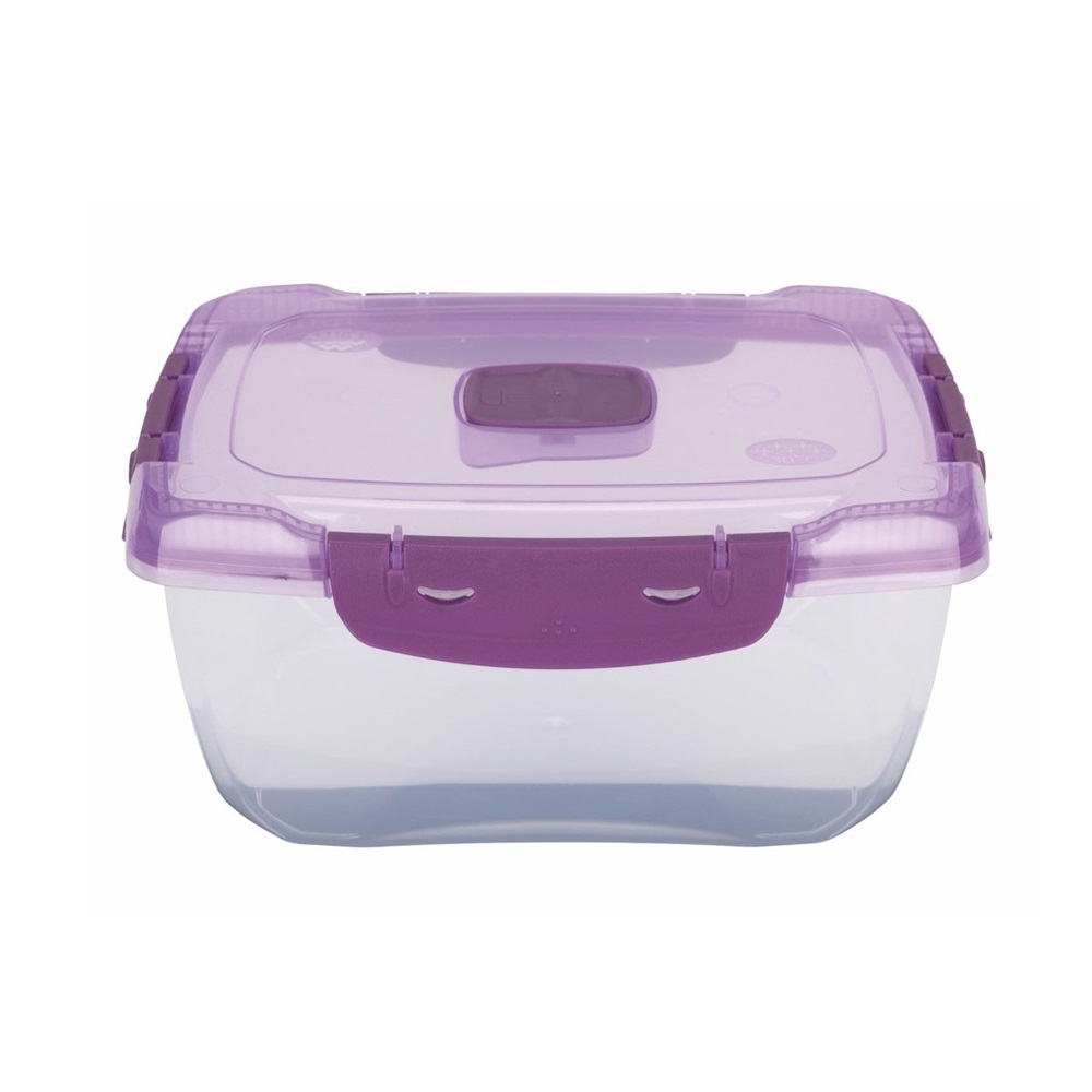 Ételtároló doboz 1,4 literes csatos és szelepes mikrós-fagyasztós_lányos színek - Image 2