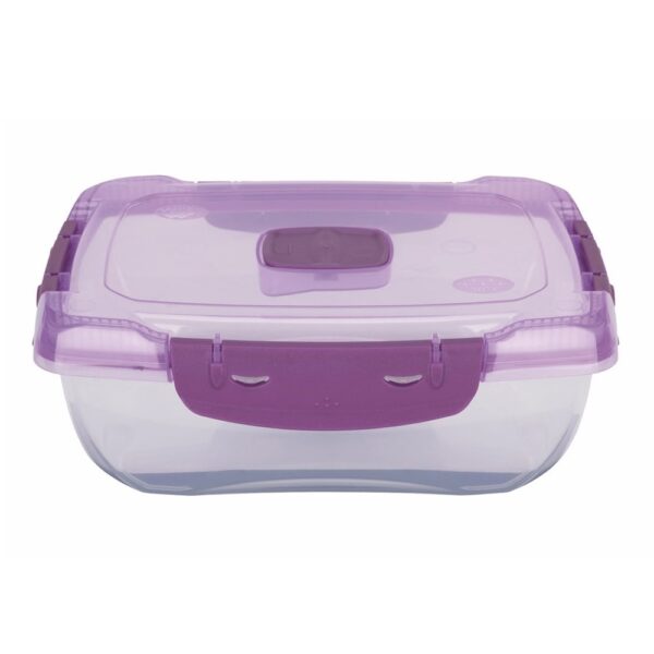 Ételtároló doboz 1 literes csatos és szelepes mikrós-fagyasztós_lányos színek