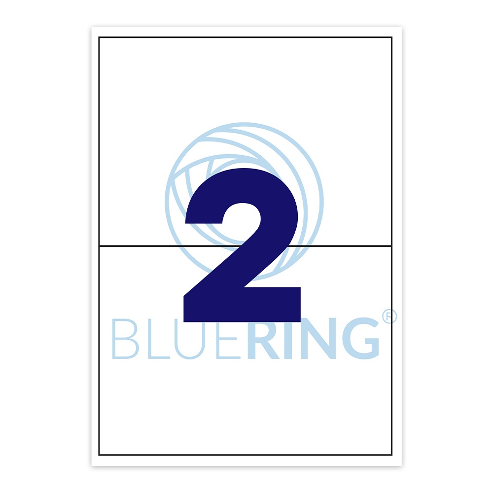 Etikett címke, 210x148mm, 100 lap, 2 címke/lap Bluering®