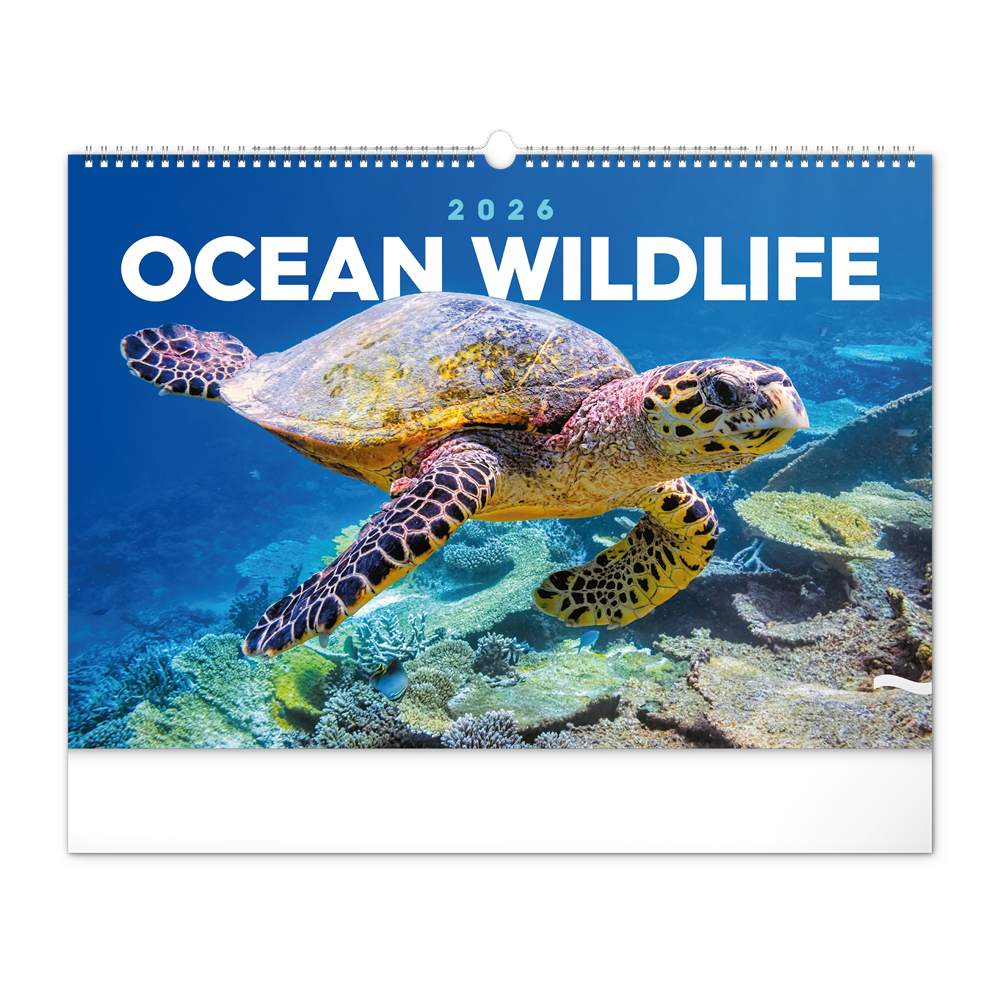 Falinaptár képes  480×330mm Ocean Wildlife Realsystem 2026.