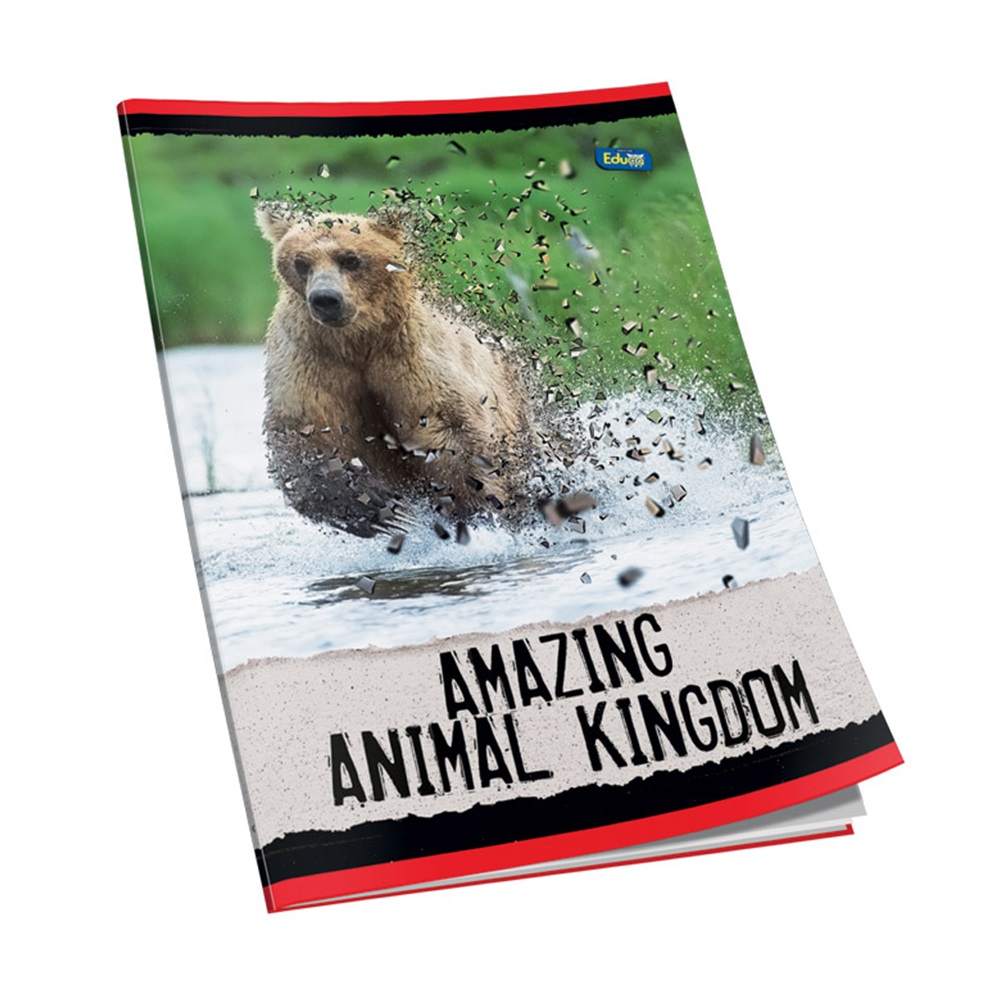 Füzet A4, 52lap, sima 60 g. papír, Educa - Image 8