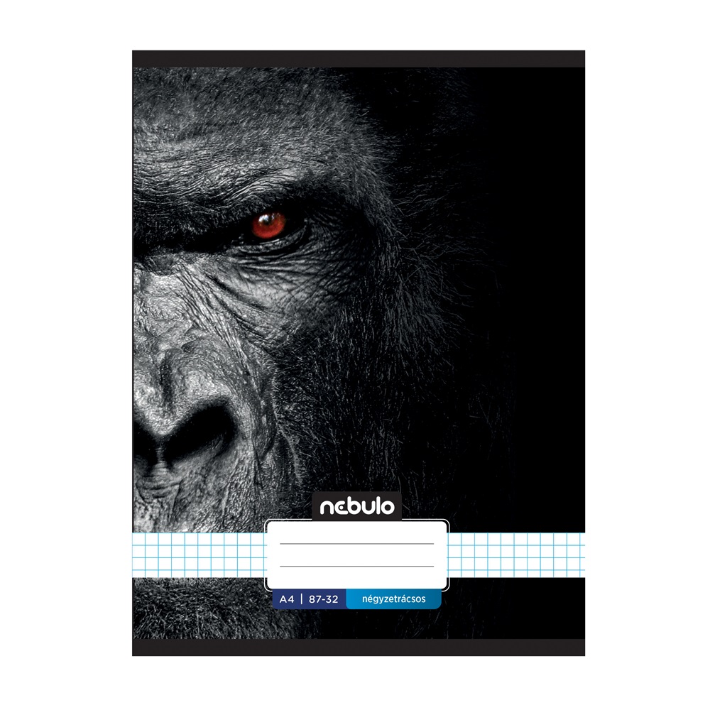 Füzet, A4, kockás, 87-32, Xtreme minták, 12 db/csomag Nebulo - Image 2