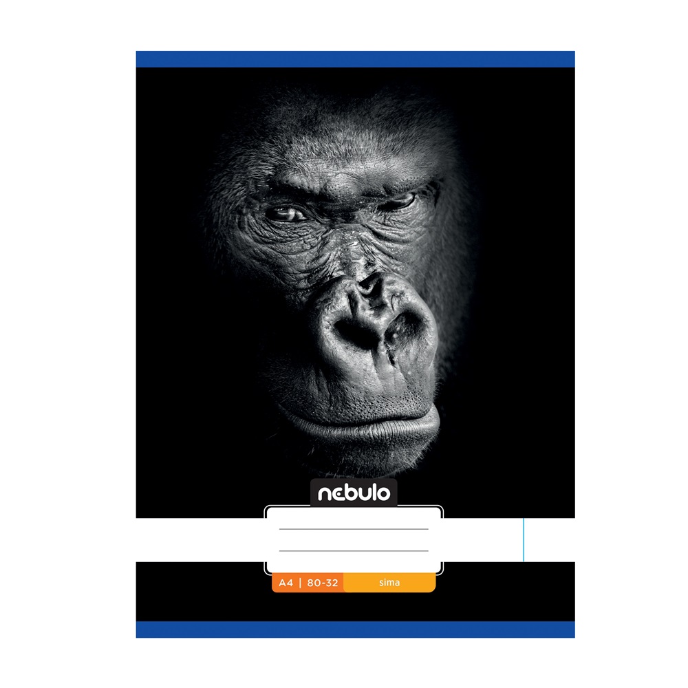 Füzet, A4, sima, 80-32, Állatos minták, 12 db/csomag Nebulo - Image 6