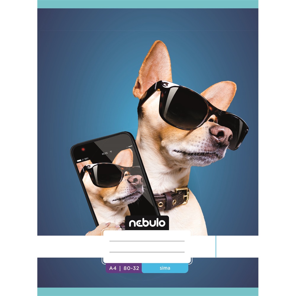 Füzet, A4, sima, 80-32, L-Design minták, 12 db/csomag Nebulo - Image 11