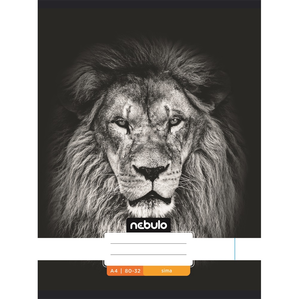 Füzet, A4, sima, 80-32, Xtreme minták, 12 db/csomag Nebulo - Image 11