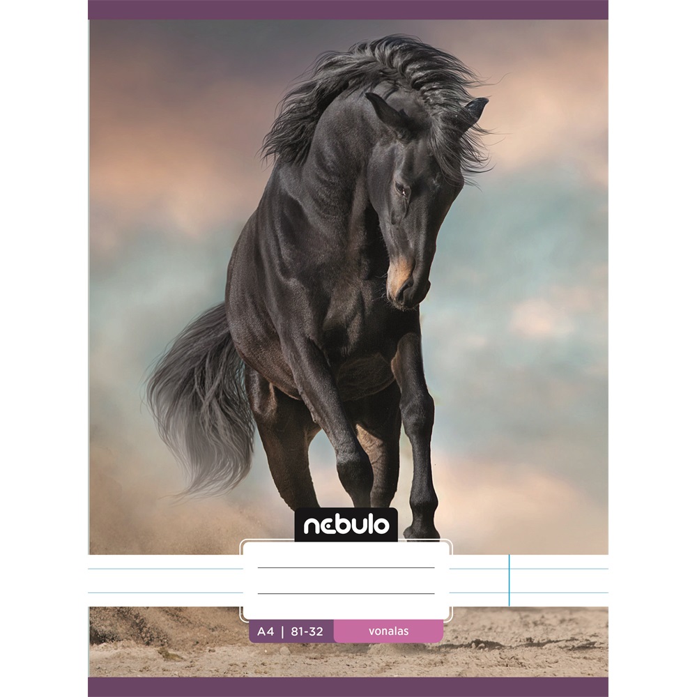 Füzet, A4, vonalas 81-32, L-Design minták, 12 db/csomag Nebulo - Image 6