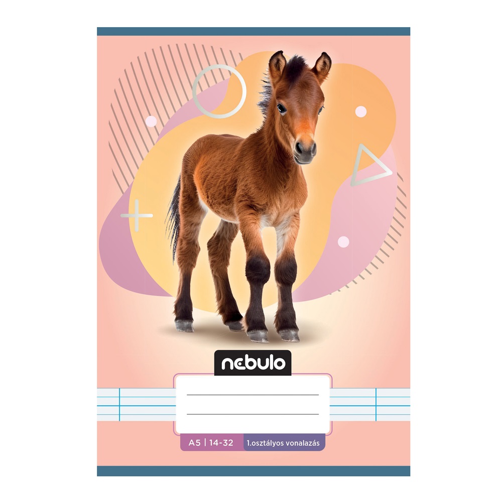 Füzet, A5, 1. osztályos vonalas, 14-32, Állatos minták, 16 db/csomag Nebulo - Image 7
