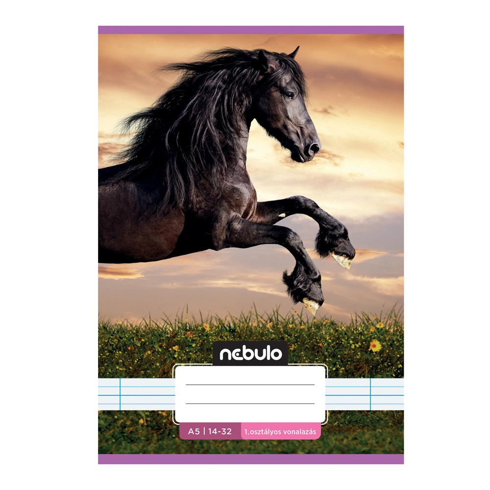 Füzet, A5, 1. osztályos vonalas, 14-32, Cuki minták, 16 db/csomag Nebulo - Image 6
