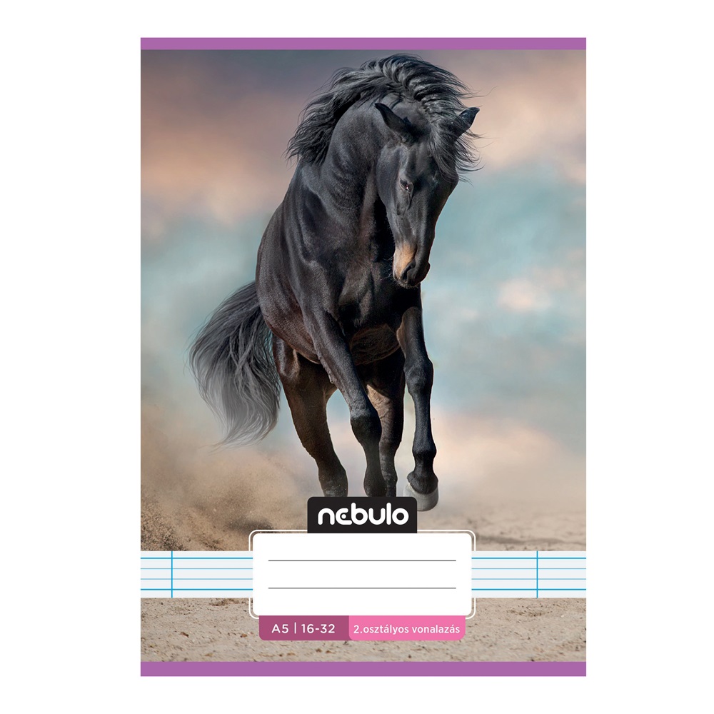 Füzet, A5, 2. osztályos vonalas, 16-32, Cuki minták, 16 db/csomag Nebulo - Image 6
