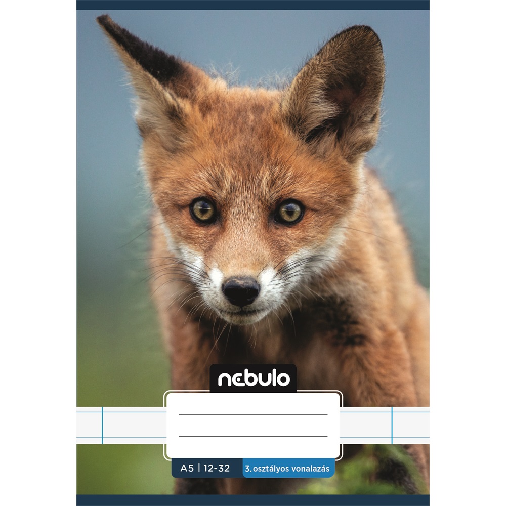 Füzet, A5, 3. osztályos vonalas, 12-32, Vagány minták, 16 db/csomag Nebulo - Image 7