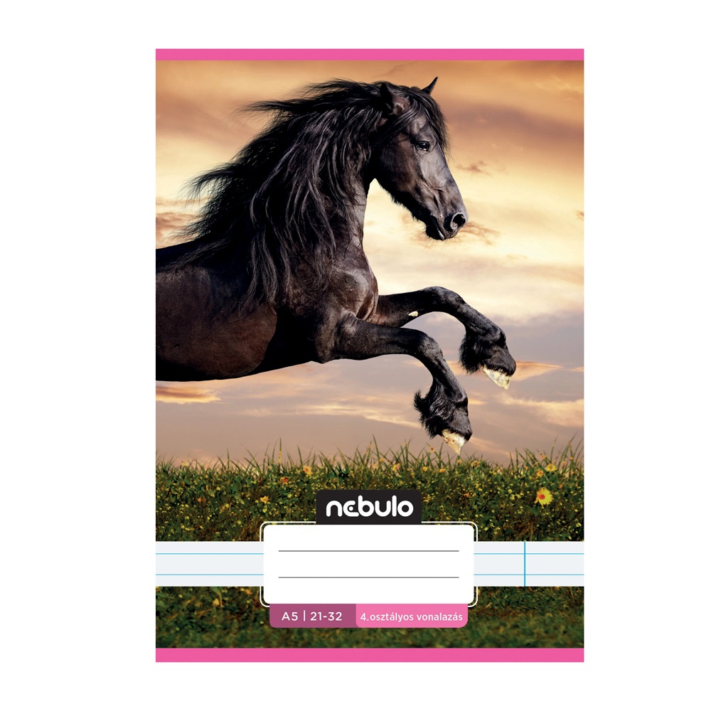 Füzet, A5, 4. osztályos vonalas, 21-32, Cuki minták, II., 16 db/csomag Nebulo - Image 3