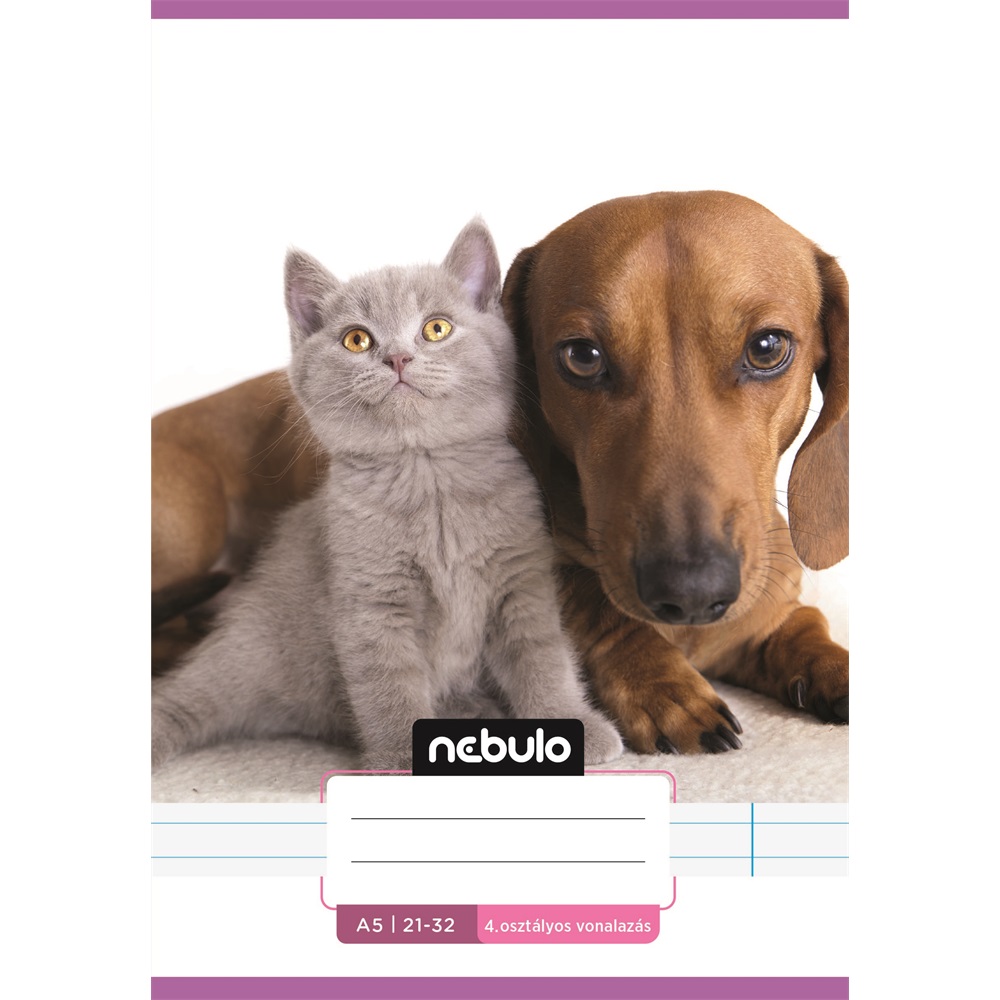 Füzet, A5, 4. osztályos vonalas, 21-32, Cuki minták, I., 16 db/csomag Nebulo - Image 2