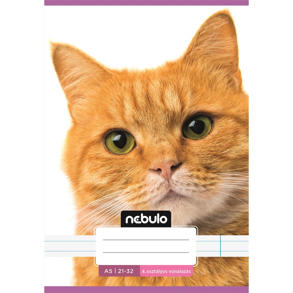 Füzet, A5, 4. osztályos vonalas, 21-32, Cuki minták, I., 16 db/csomag Nebulo - Image 8