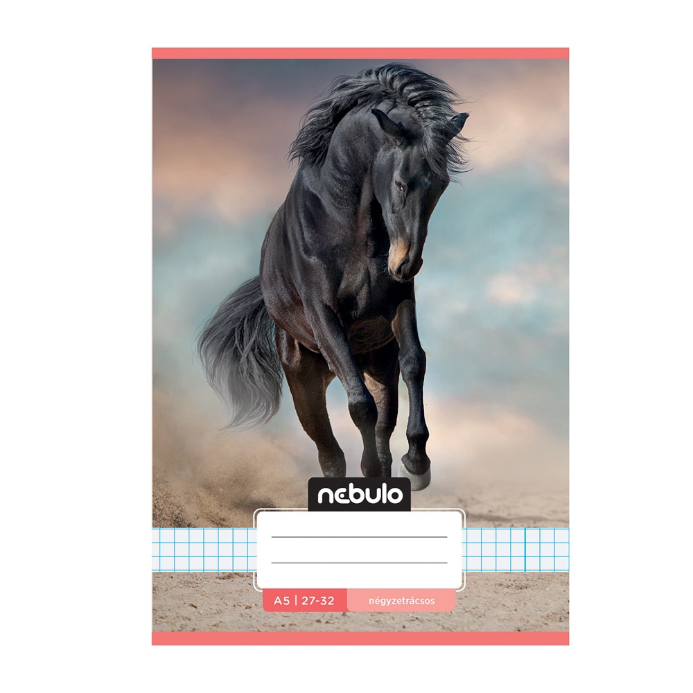 Füzet, A5, kockás, 27-32, Cuki minták, 16 db/csomag Nebulo - Image 6