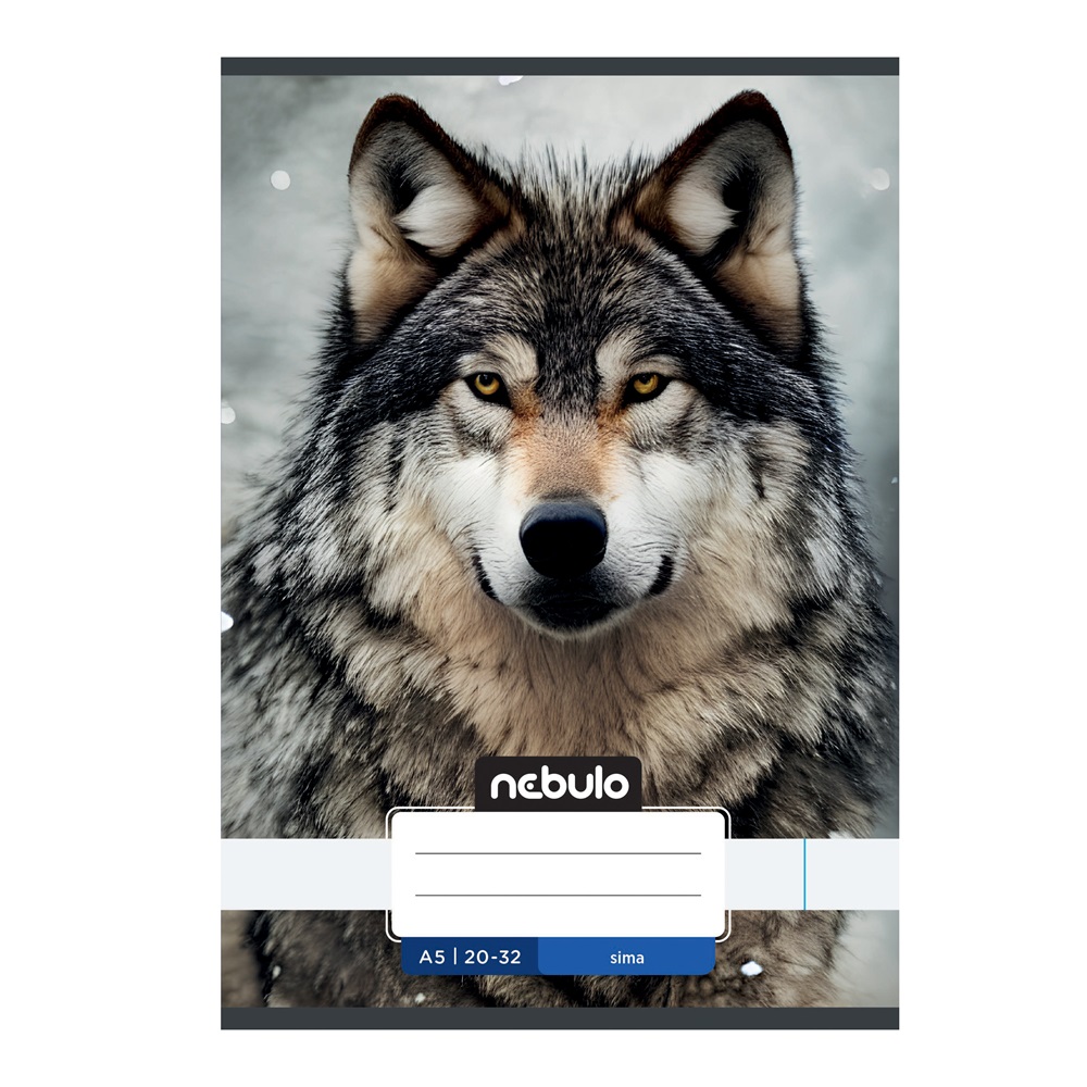 Füzet, A5, sima, 20-32, Vagány minták, 16 db/csomag Nebulo - Image 3