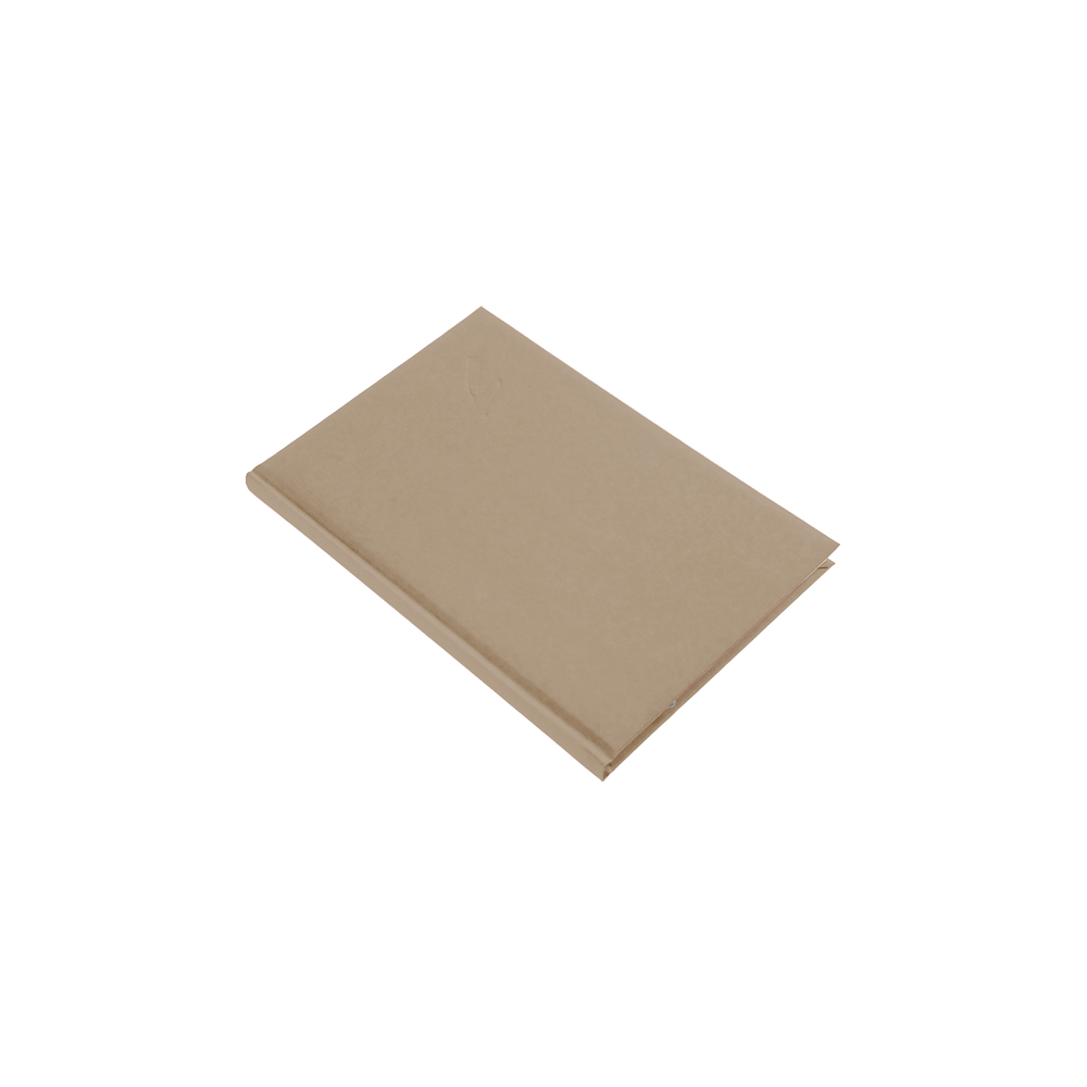 Tárgyalási napló Standard B/5, fehér lapokkal drapp Realsystem 2026.