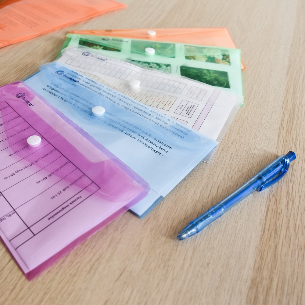 Irattartó tasak DL `csekk` patentos PP Bluering® transzparens piros - Image 4