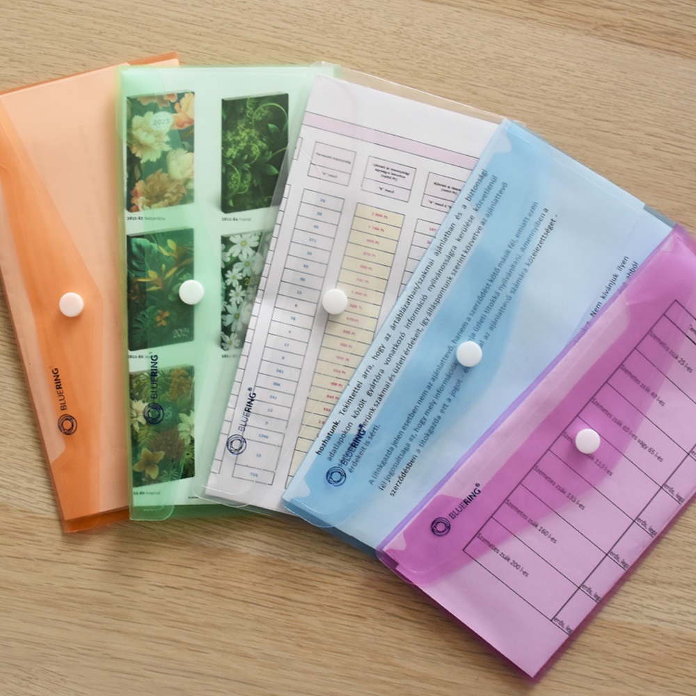 Irattartó tasak DL `csekk` patentos PP Bluering® transzparens zöld - Image 2