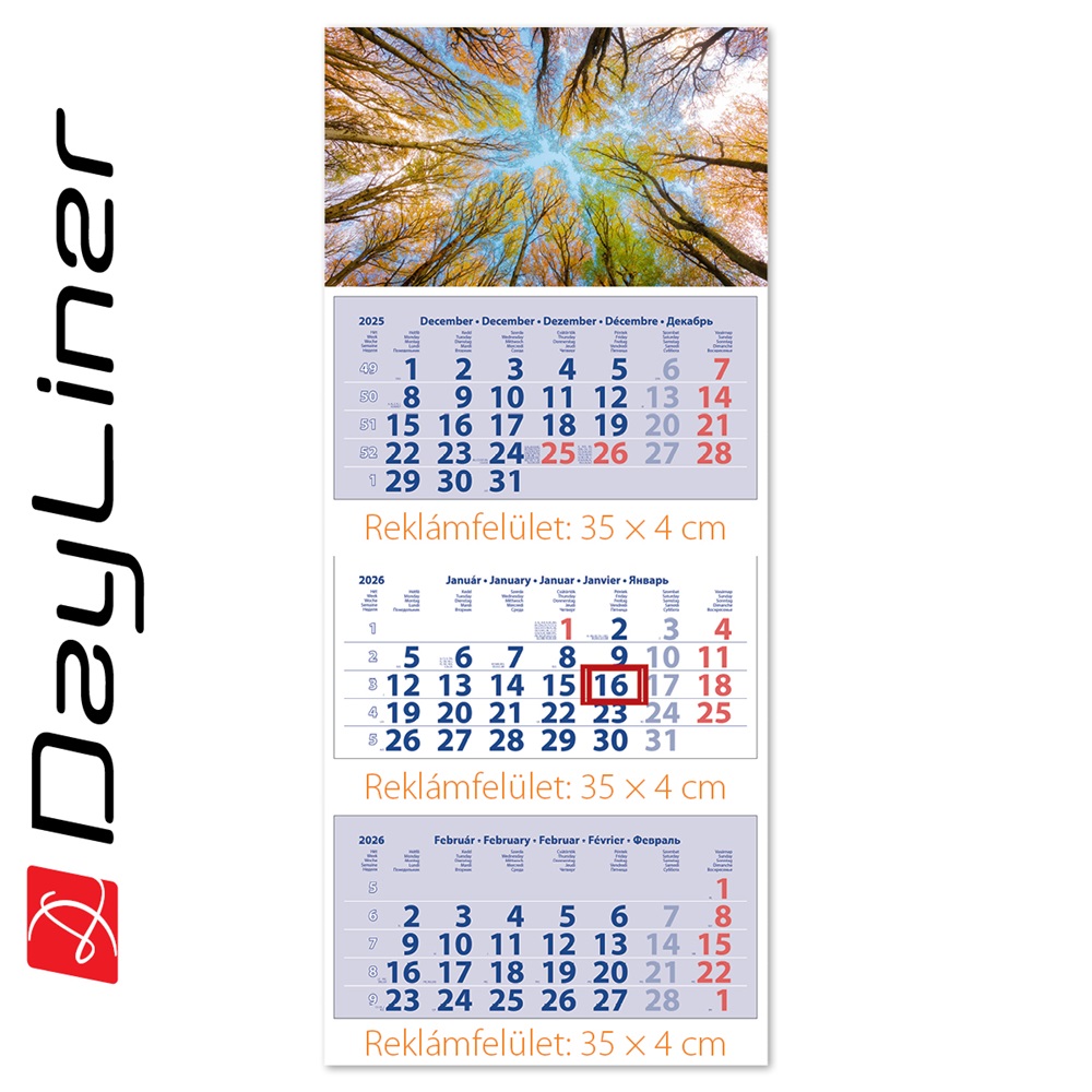 Speditőr naptár 3 tömb, 3 hónap Medium Club 350 × 755 mm, fehér lapokkal Erdő Dayliner 2026.